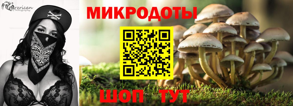 Псилоцибиновые грибы Cubensis Нефтекумск